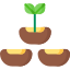 pictogramme d'un bourgeon de plante