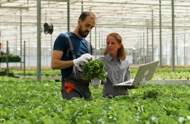 visuel agriculteurs dans une exploitation