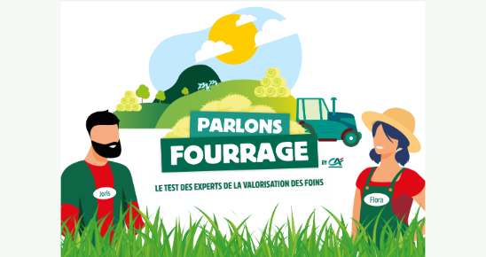 Le test des experts de la valorisation des foins