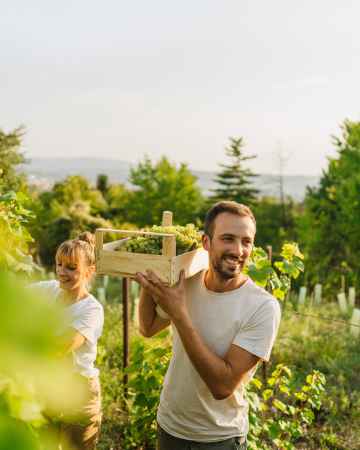 Assurance Climatique Agriculteur