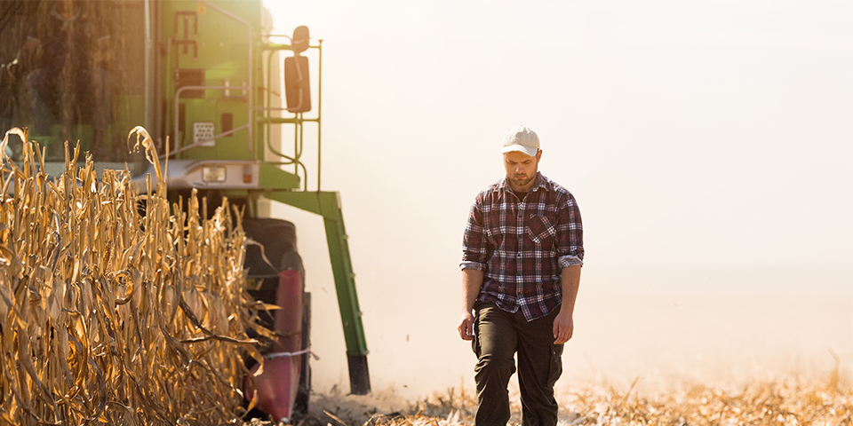 Protéger le fruit de votre travail c'est dans notre culture
