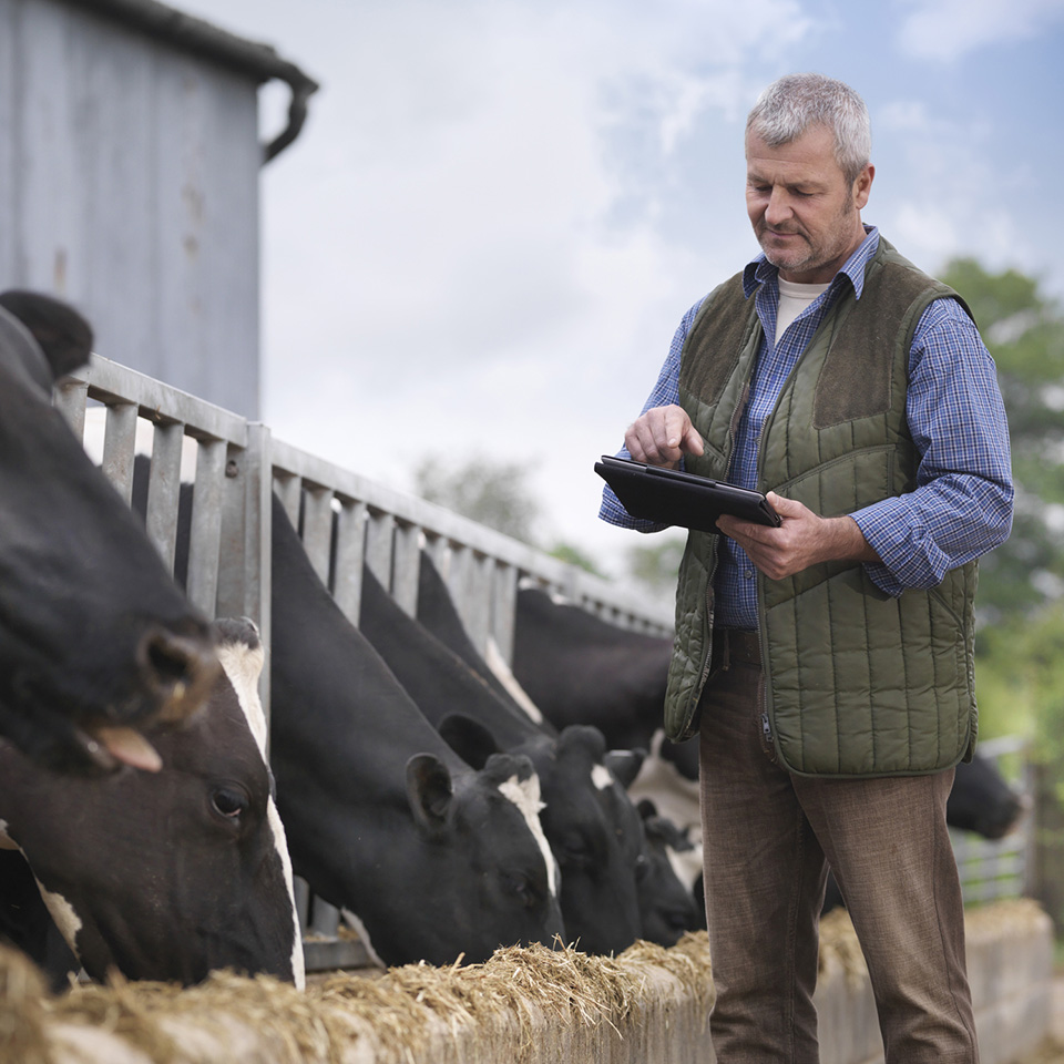 agriculteur trop content